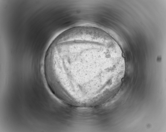 X0000101960863200808151314
