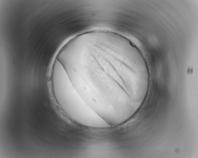 X0000101960864200808151314