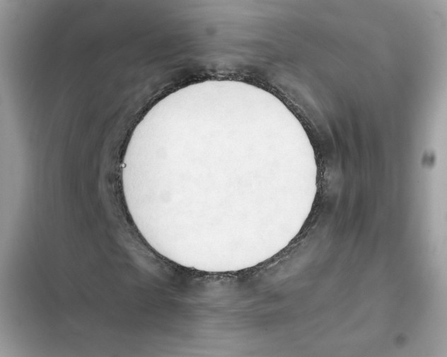 X0000101960865200808151313