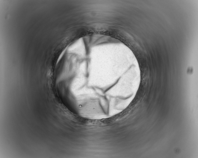 X0000101960866200808151313