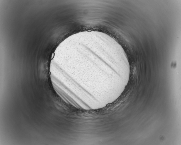 X0000101960868200808151313