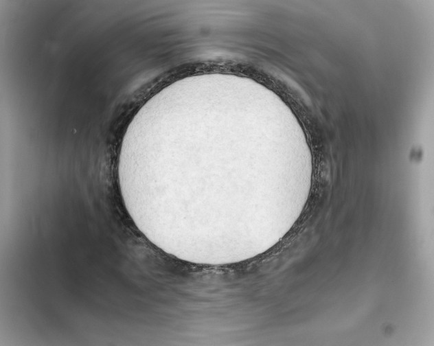 X0000101960869200808151313