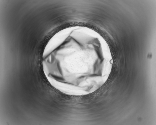 X0000101960870200808151313