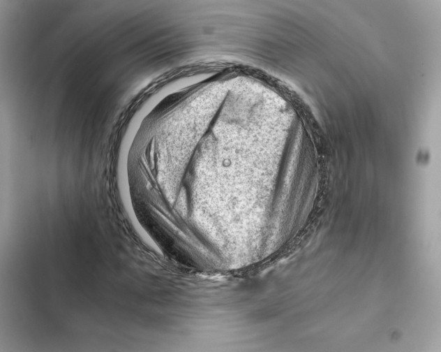 X0000101960871200808151313