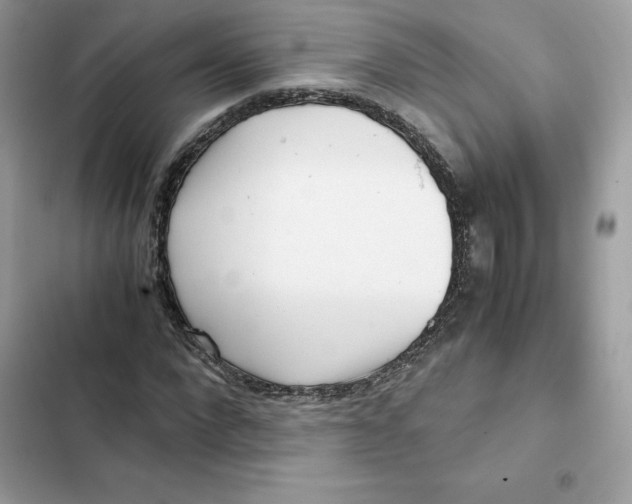X0000101960872200808151313
