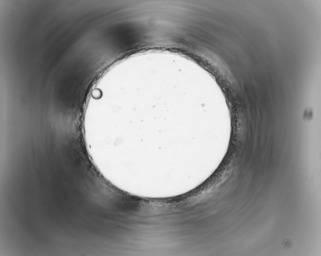 X0000101960873200808151313