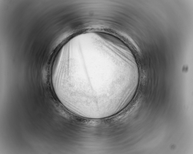 X0000101960874200808151313