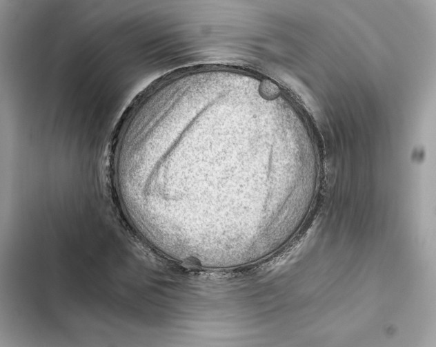 X0000101960875200808151313