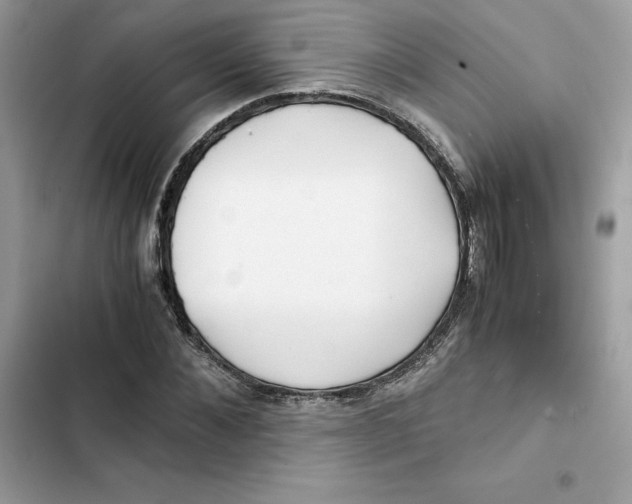 X0000101960876200808151313