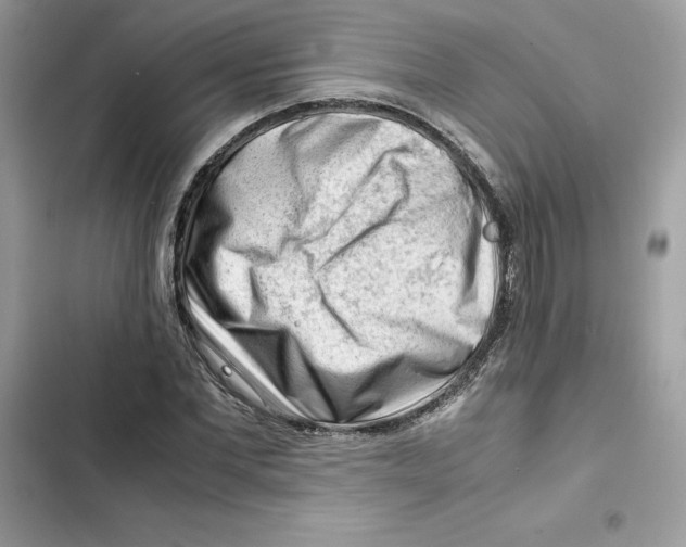 X0000101960877200808151313