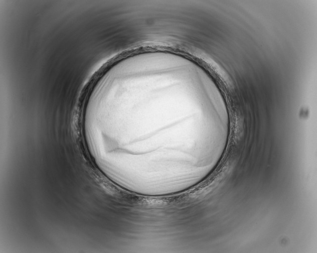 X0000101960878200808151313