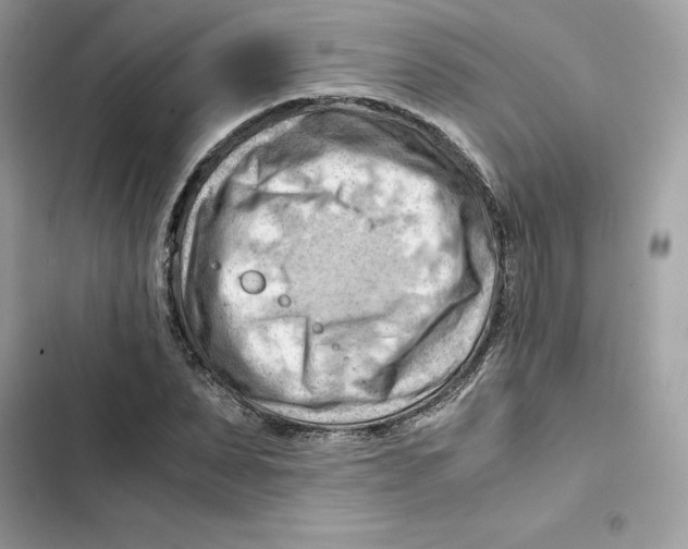 X0000101960879200808151313