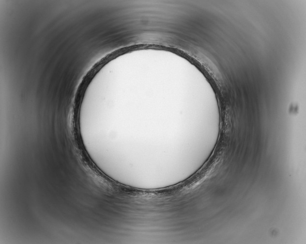 X0000101960880200808151313