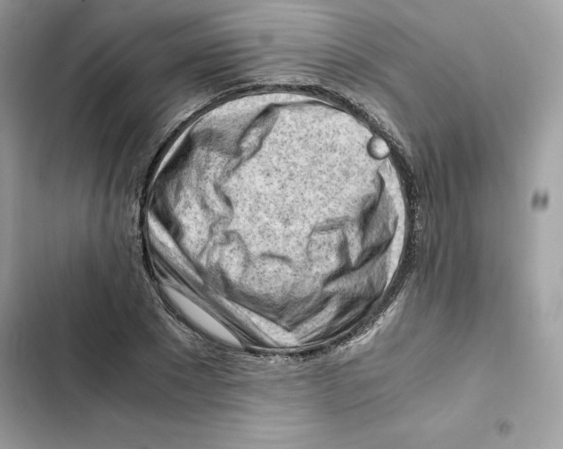 X0000101960881200808151313