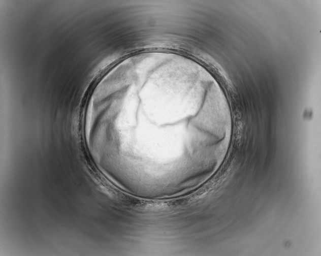X0000101960882200808151313