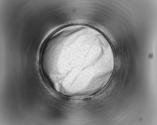 X0000101960886200808151312