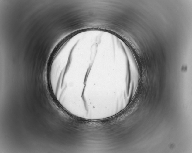 X0000101960888200808151312