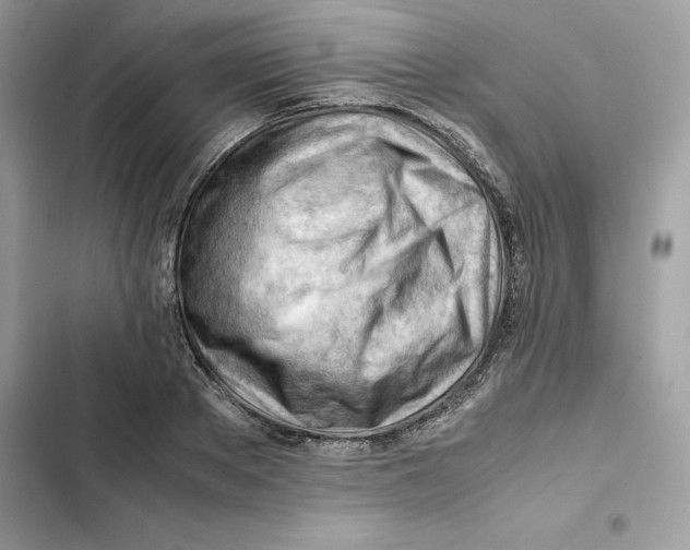 X0000101960889200808151312