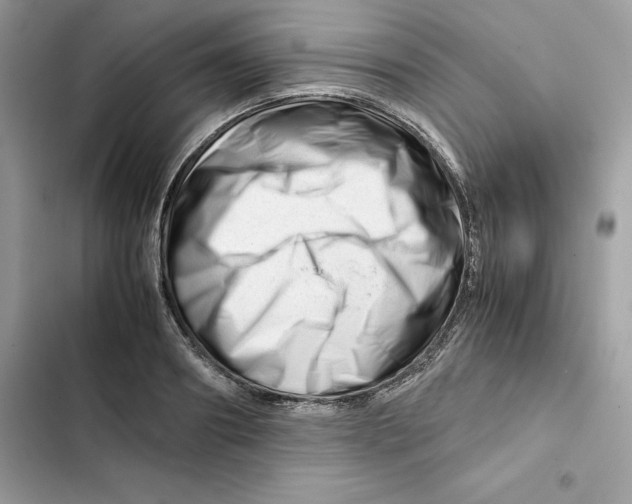 X0000101960890200808151312