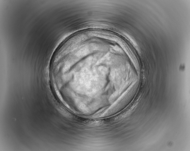 X0000101960891200808151312