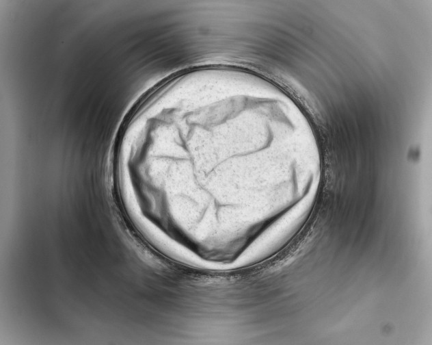 X0000101960892200808151312