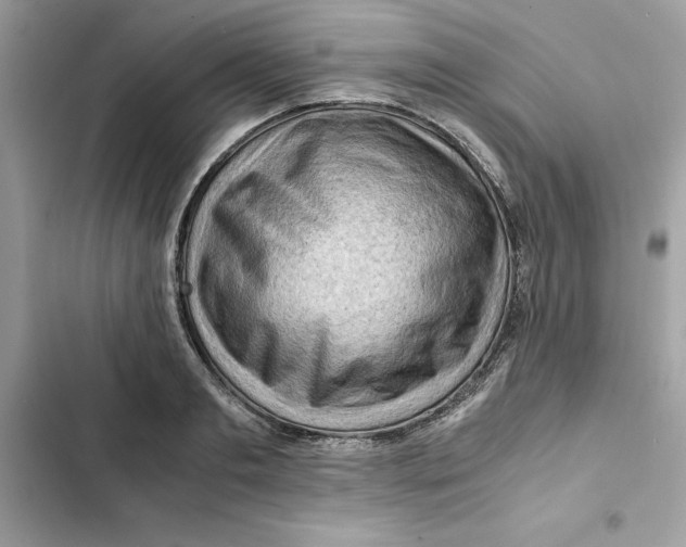 X0000101960893200808151312