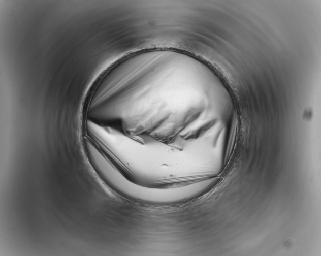 X0000101960894200808151312