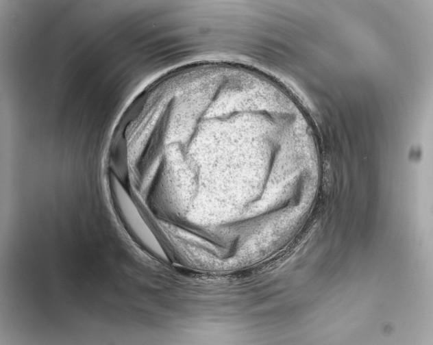 X0000101960895200808151312