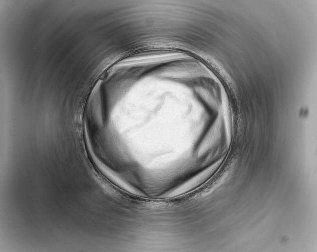 X0000101960897200808151312