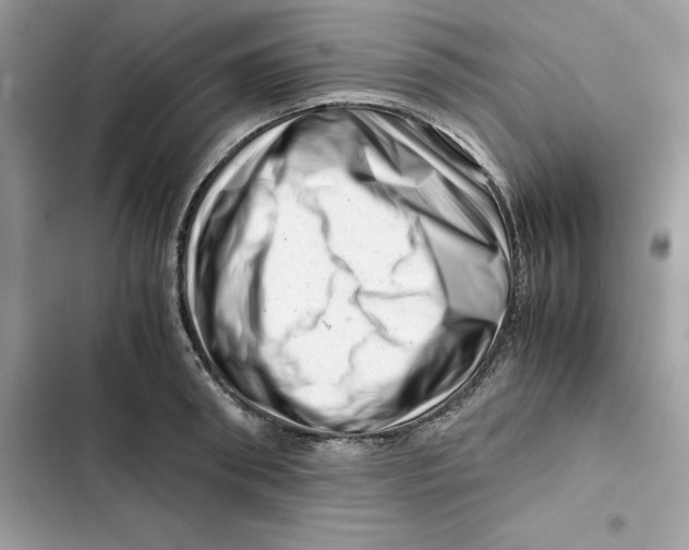 X0000101960898200808151312