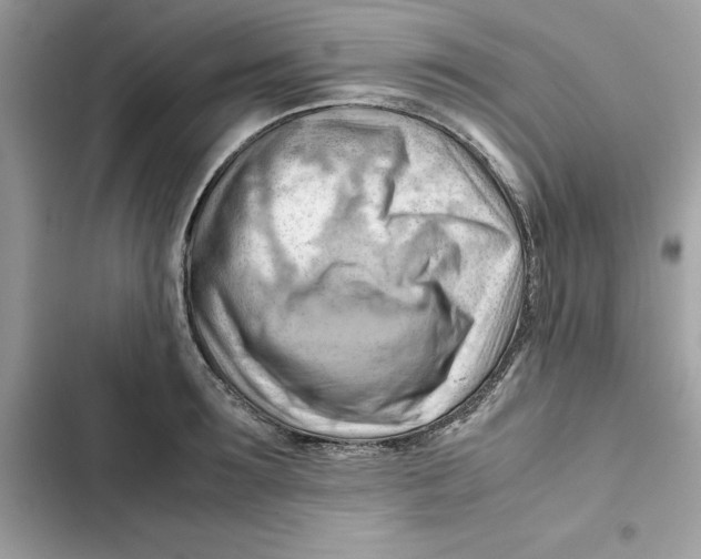 X0000101960899200808151312