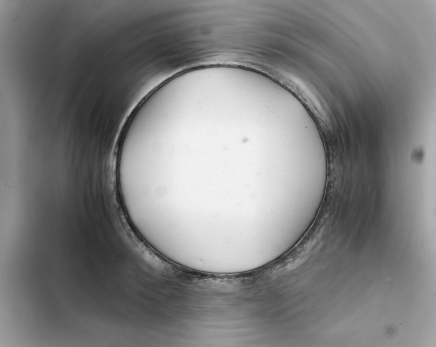 X0000101960900200808151312
