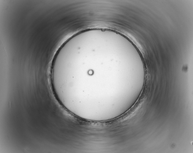 X0000101960901200808151312