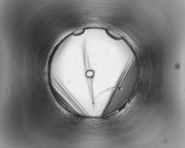 X0000101960902200808151312