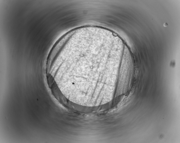 X0000101960903200808151312