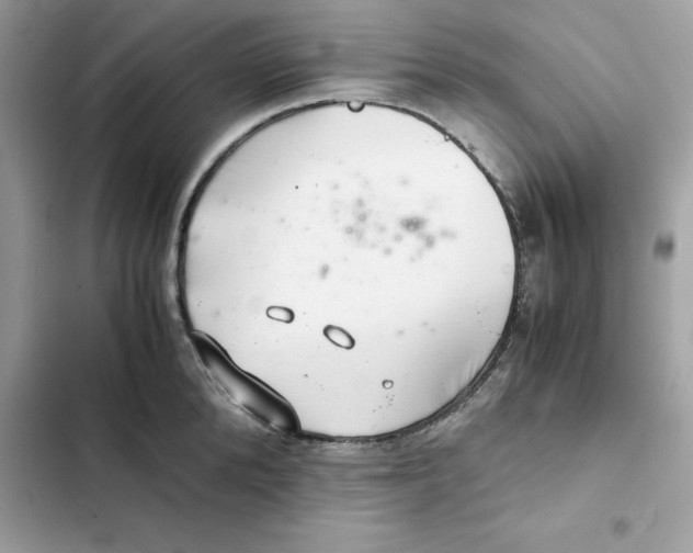 X0000101960904200808151312