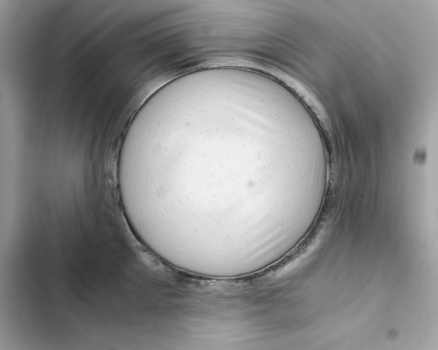 X0000101960905200808151312