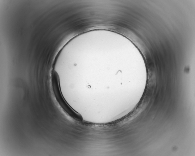 X0000101960906200808151312