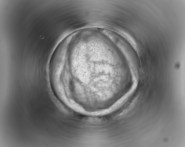 X0000101960907200808151312