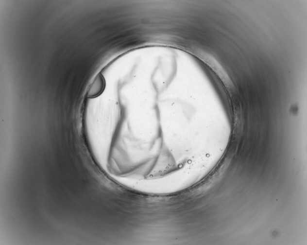 X0000101960908200808151312