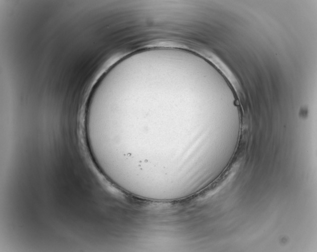 X0000101960909200808151312