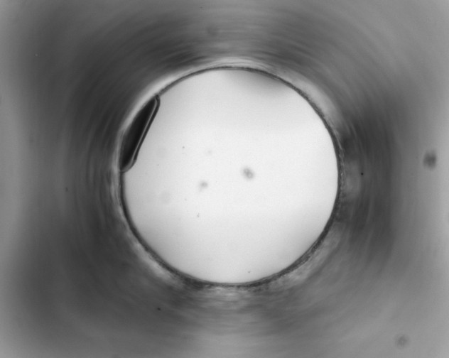 X0000101960910200808151312
