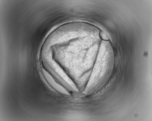 X0000101960911200808151312