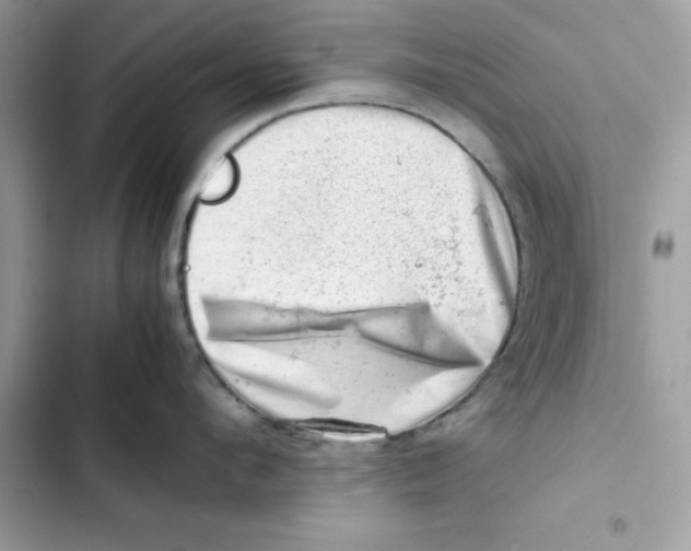 X0000101960912200808151312