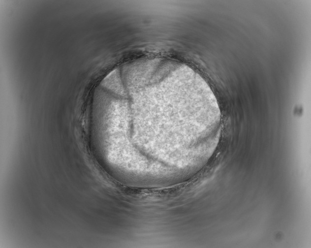X0000101960913200808151311
