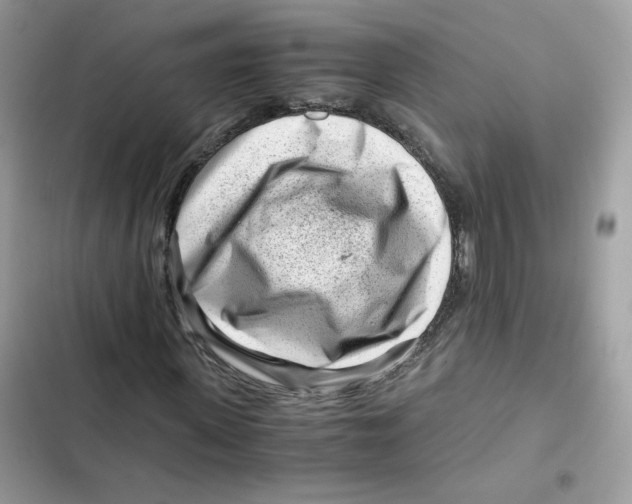X0000101960915200808151311