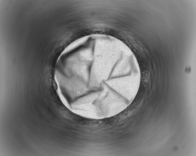 X0000101960916200808151311