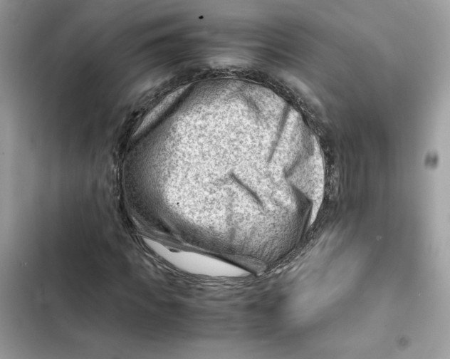 X0000101960917200808151311
