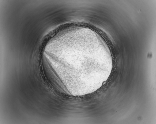X0000101960919200808151311