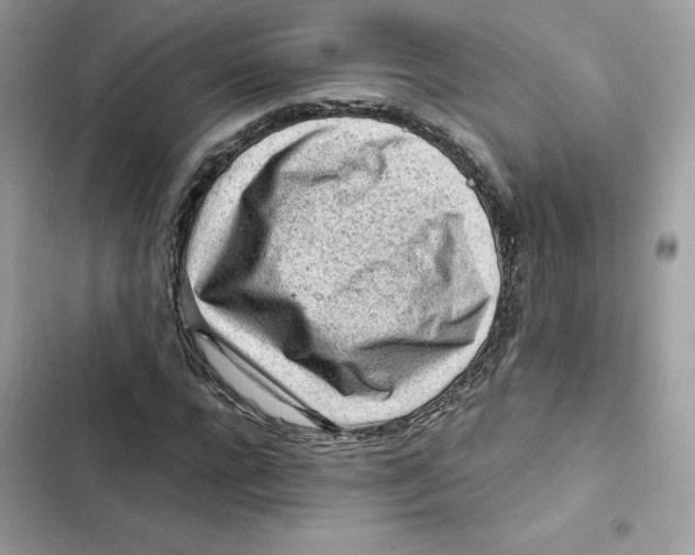 X0000101960920200808151312